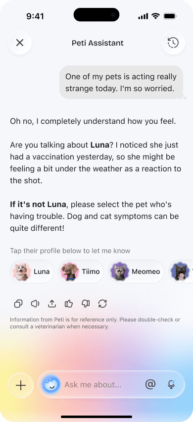 Chatting with Peti, the Petio AI assistant